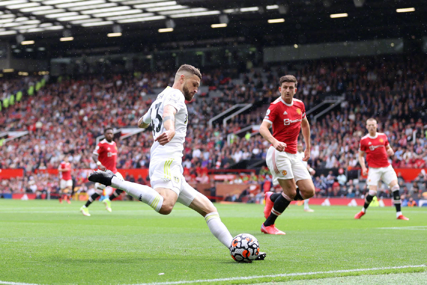 的頑強與皇 的頑強與皇